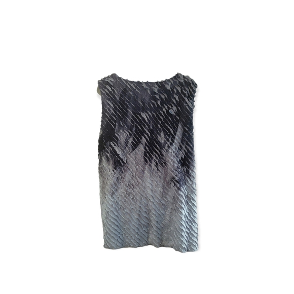 Coldwater Creek 1X (14W-16W) Dressy Tank Top - Picture 2 of 5